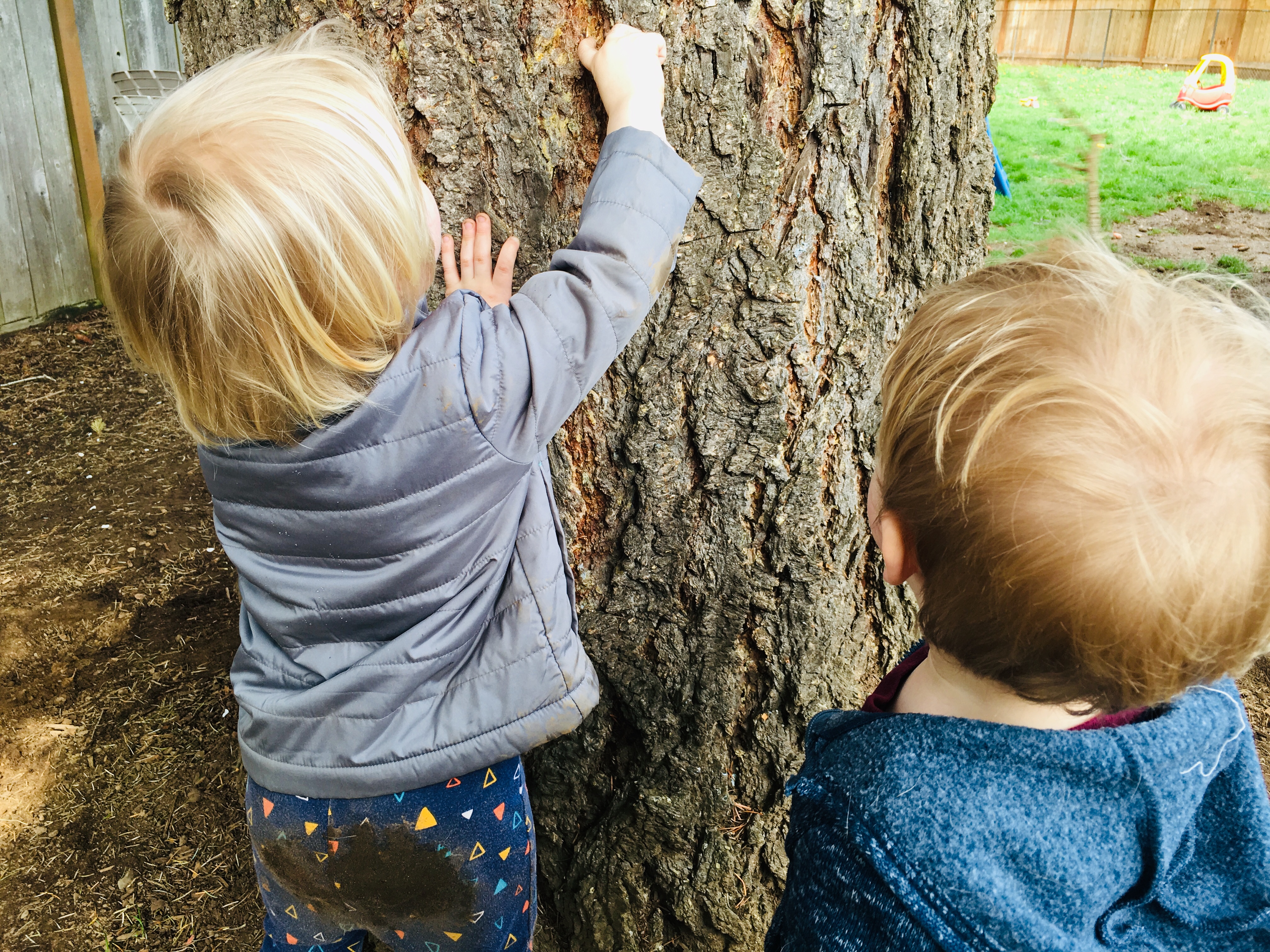 Easy Toddler Preschool Outside Activities