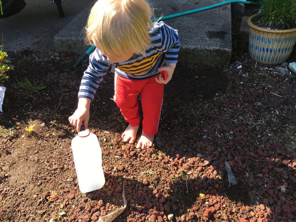 Toddler Nature Activity