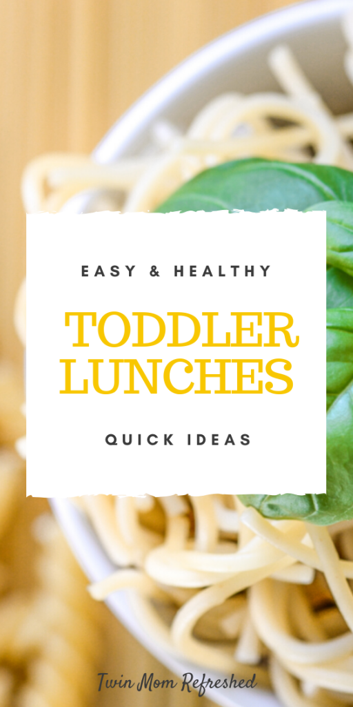 Toddler Lunch Ideas Quick and Healthy - Twin Mom Refreshed