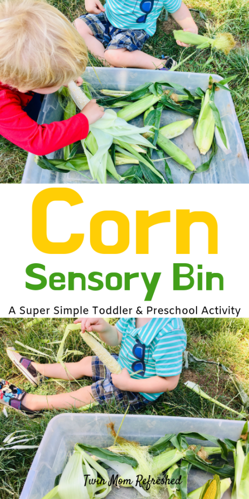 Corn Sensory