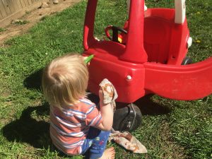 Car Wash Toddler Activity