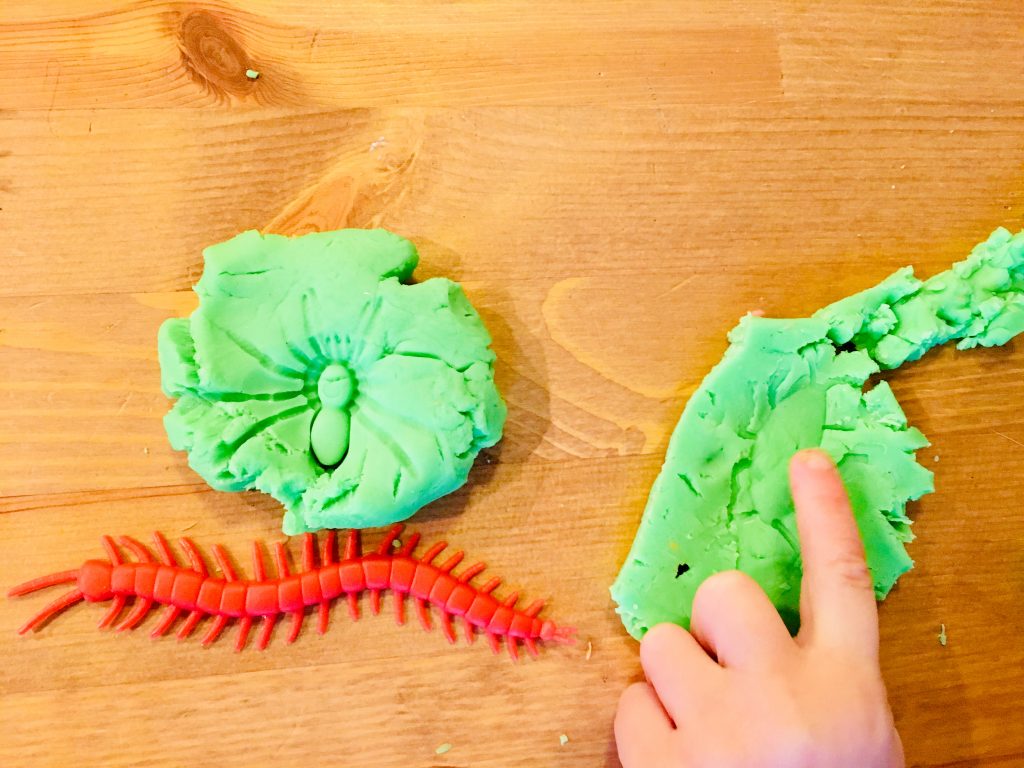 Bugs and Play dough