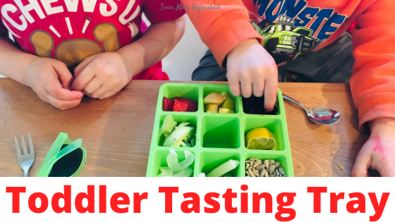 Tasting Trays for Kids - My Fussy Eater