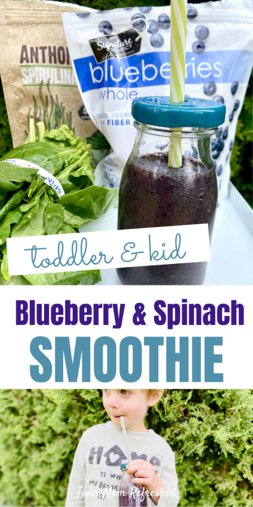 Healthy Smoothie Recipe For Kids and Toddlers